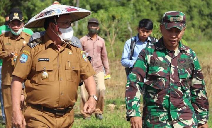 Peningkatan Luas Tanam dan Produktivitas Padi