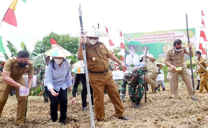 Wakil Bupati Tana Tidung Lakukan Penanggulangan Benih Jagung Perdana