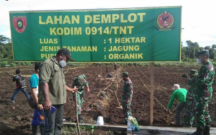 Penanaman Jagung Dalam Rangka Program Kerja StafTer Kodim 0914/Tnt Bidang Ketahanan Pangan