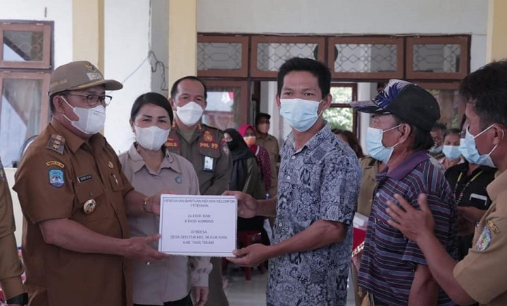 Panen Raya Perdana Kebun Jagung
