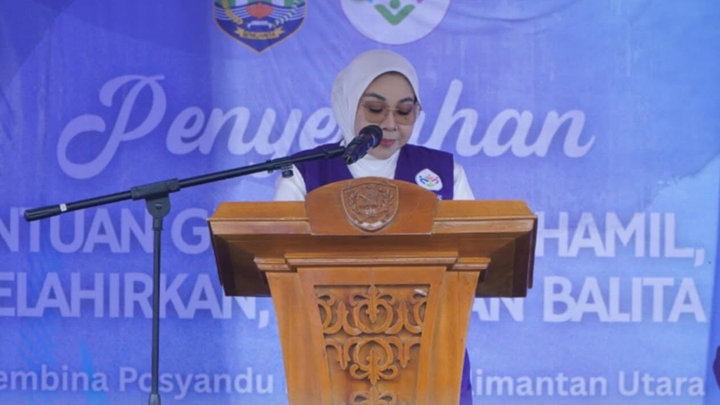 Pembina Posyandu Kaltara Serahkan Bantuan Gizi di Tana Tidung, Perkuat Upaya Pencegahan Stunting