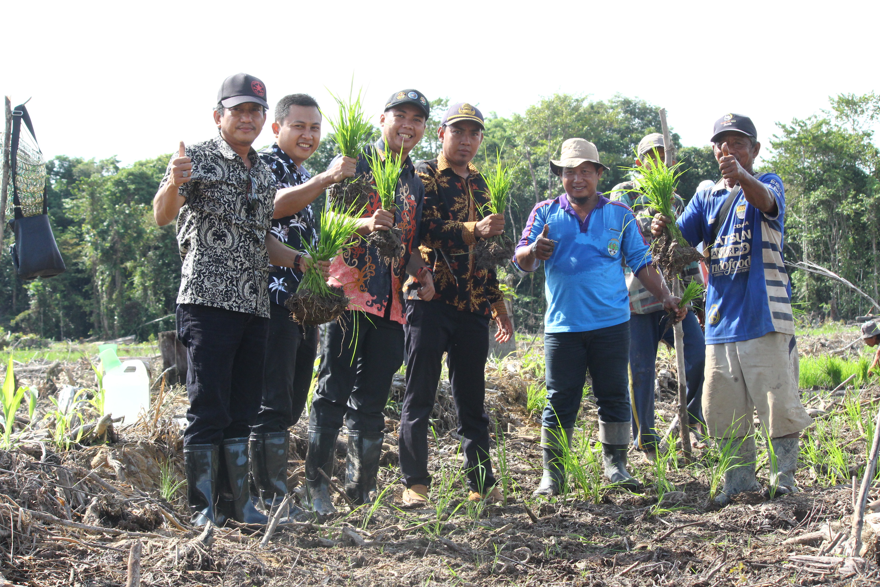 Pengembangan Pertanian Lahan Basah (Persawahan) di Kabupaten Tana Tidung