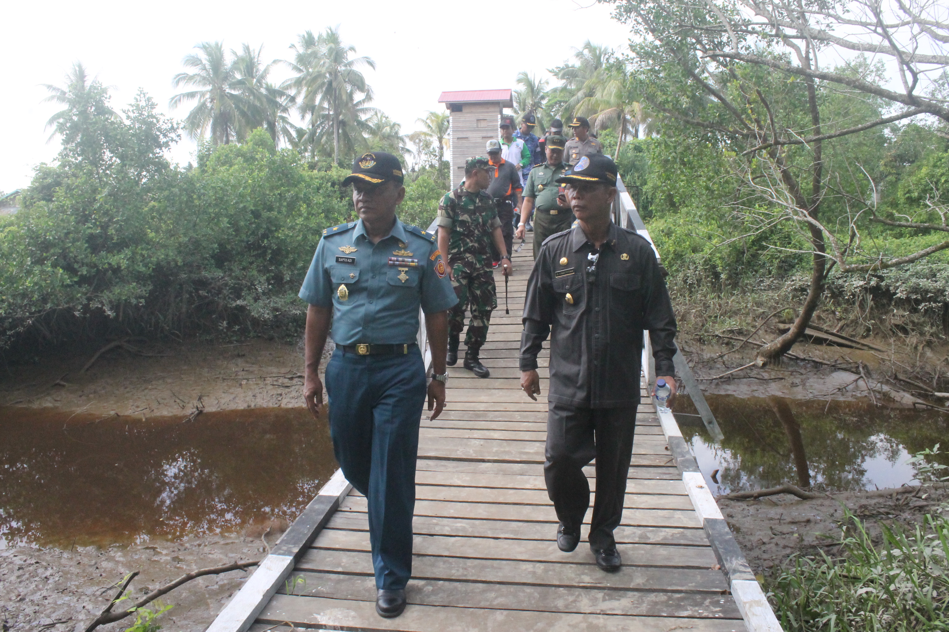 Peninjauan Hutan Manggrove 